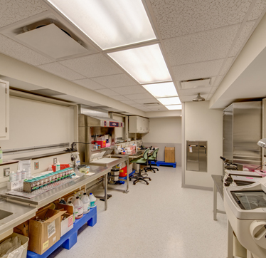 Clinical lab area